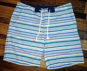 Pendleton Surf Mens Board Shorts Swimwear Size 38 Striped Dark Light Blue